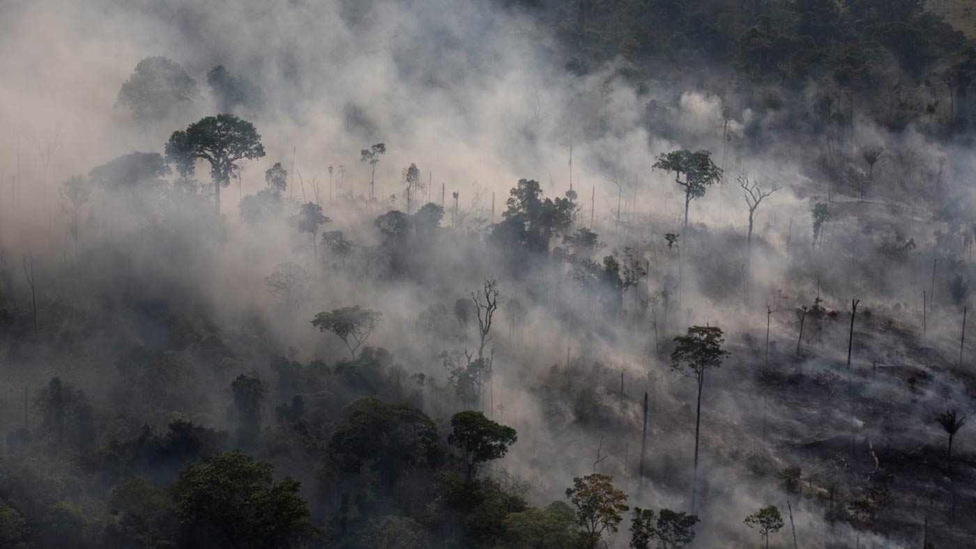 Filmstill: Amazonien