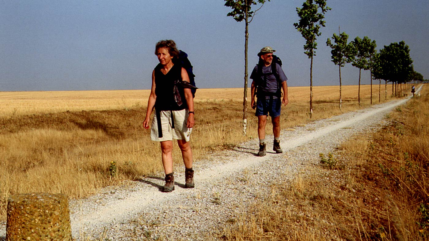 Filmstill: El Camino – Auf dem Jakobsweg durch Nordspanien